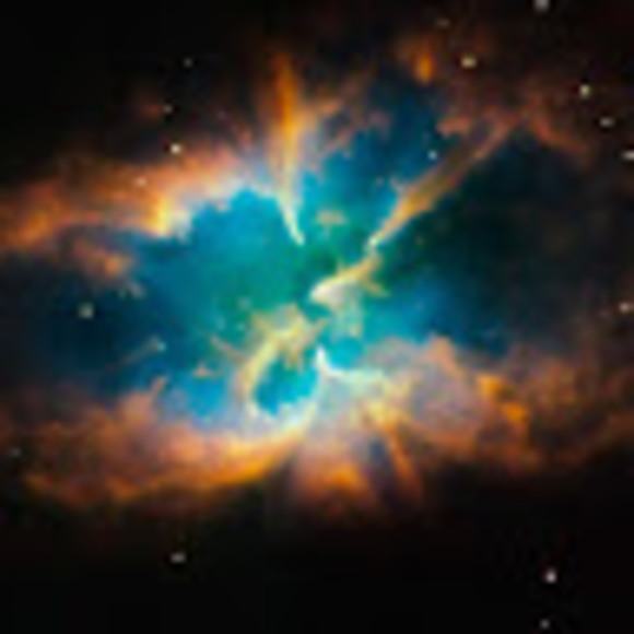 Meet your Posher, Megan - Picture 1 of 1